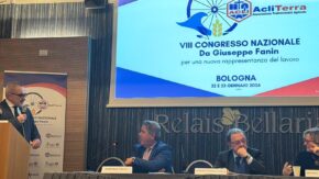 WhatsApp Image 2026-01-22 at 20.34.28 (1)