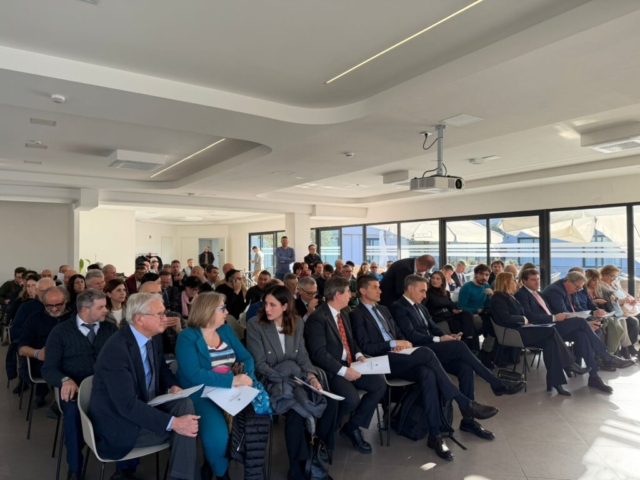 WhatsApp Image 2026-02-06 at 17.07.14