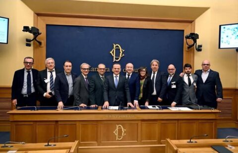 WhatsApp Image 2026-02-13 at 16.55.12